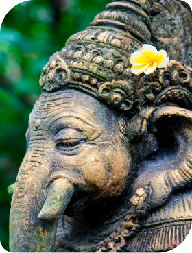 Percepción Superior