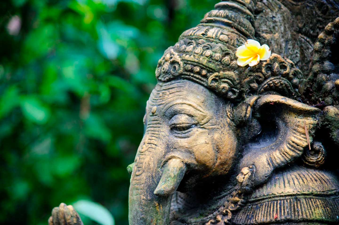 Apertura de Centros de Percepción Superior